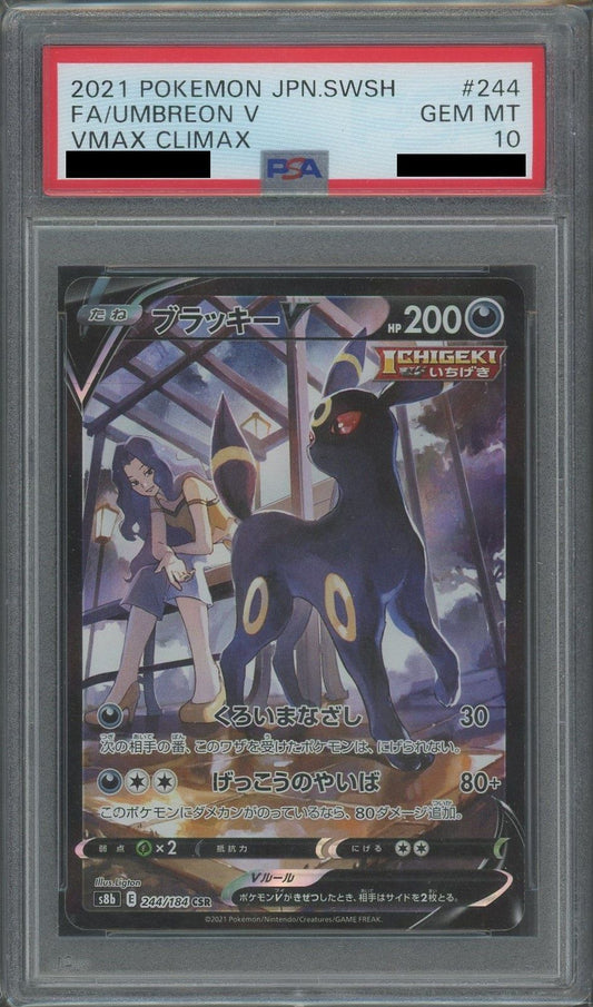【PSA10】ブラッキーV(CSR){悪}〈244/184〉[S8b]