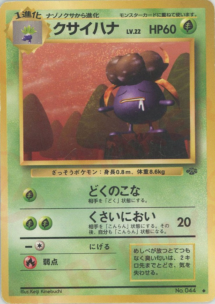 拡張パック第2弾「ポケモンジャングル」 – 晴れる屋2