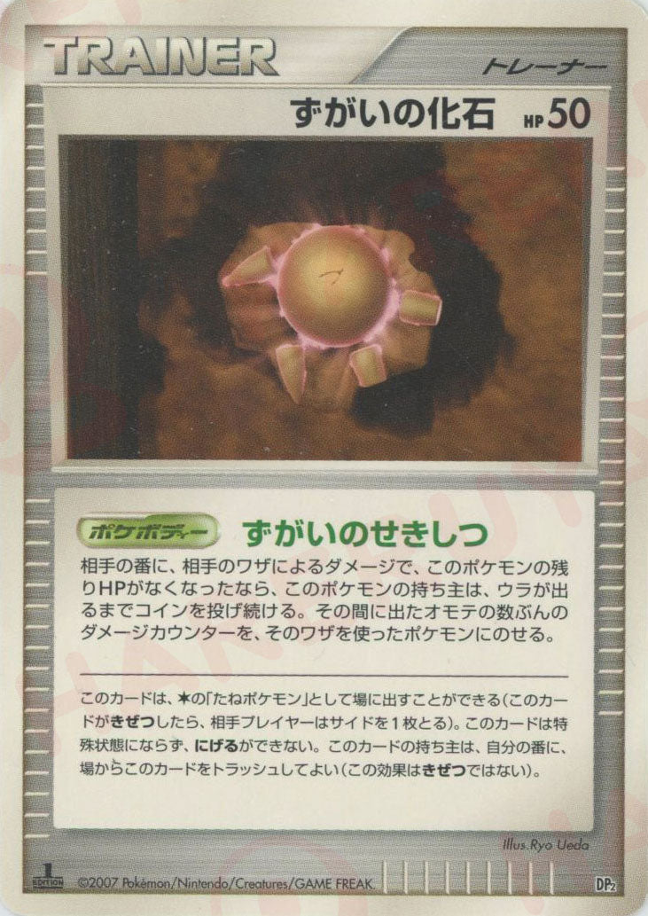 構築ハーフデッキ「攻めのラムパルド」「守りのトリデプス