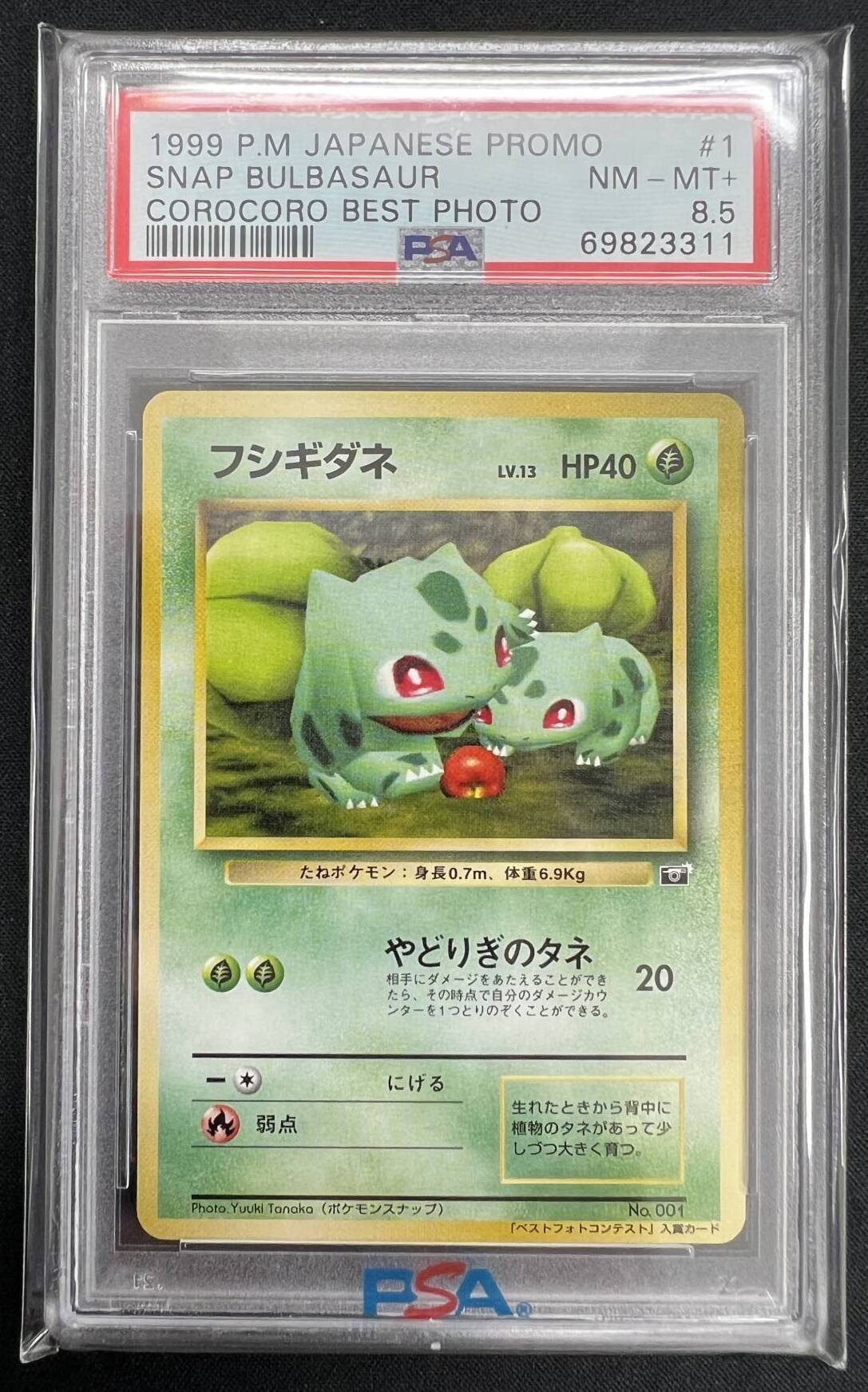 【PSA8.5】フシギダネ:コロコロスナップ(PROMO){草}〈-〉[PMCG-P]#516