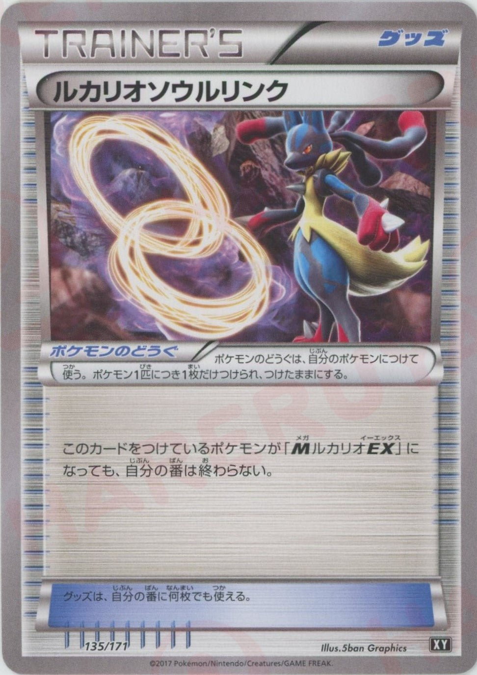 ハイクラスパック「THE BEST OF XY」 – 晴れる屋2 ハイクラスパック「THE BEST OF XY」 – 晴れる屋2