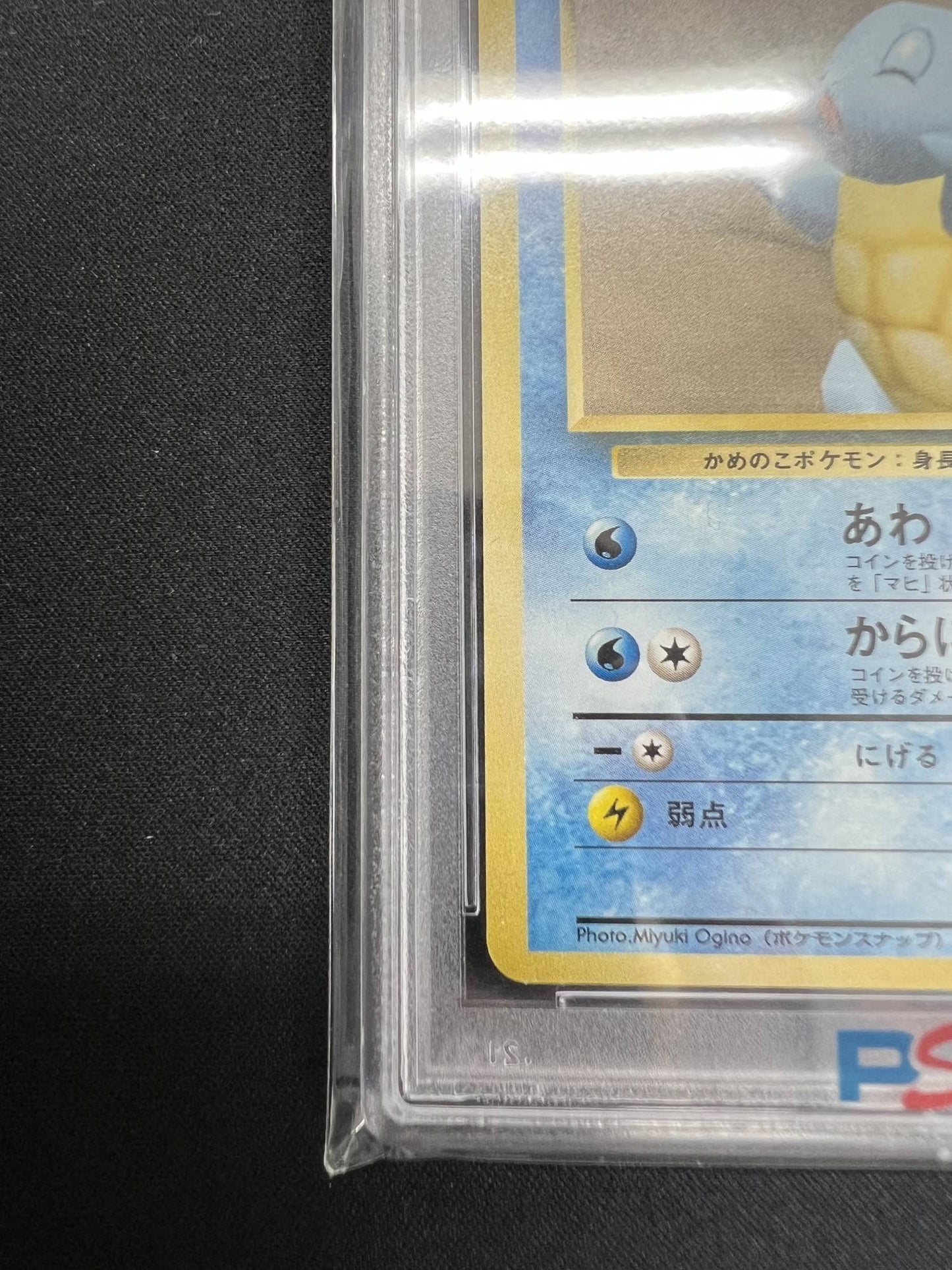 [PSA8] Squirtle: Korokoro Snap (PROMO) {W} 〈-〉 [PMCG-P]#515