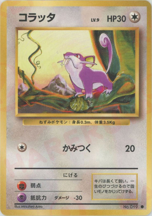 コラッタ(C){無}〈-〉[OP1] ｜ポケカ販売‧買取｜ 晴れる屋2