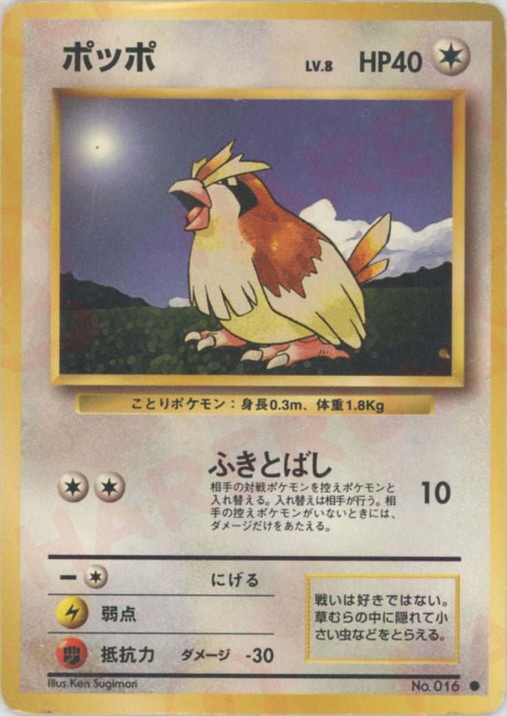 ポッポ(C){無}〈-〉[OP1] ｜ポケカ販売‧買取｜ 晴れる屋2