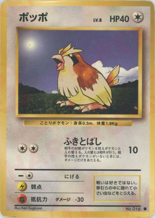 ポッポ(C){無}〈-〉[OP1] ｜ポケカ販売‧買取｜ 晴れる屋2