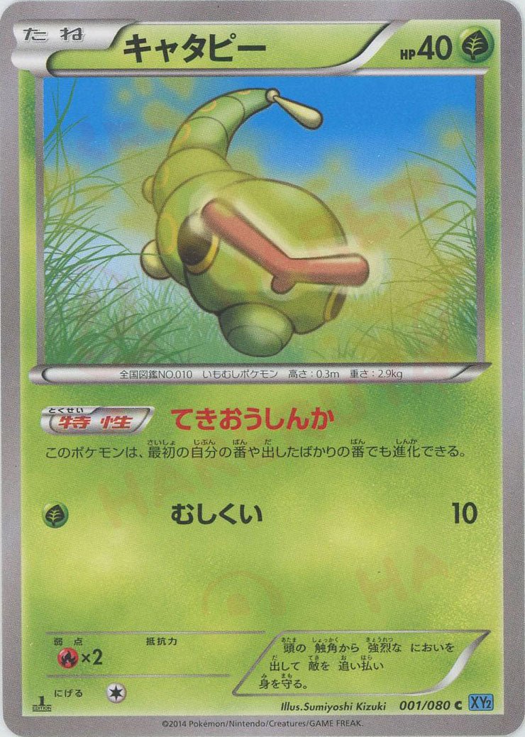 拡張パック「ワイルドブレイズ」 ｜ポケカ販売‧買取｜最短即日発送