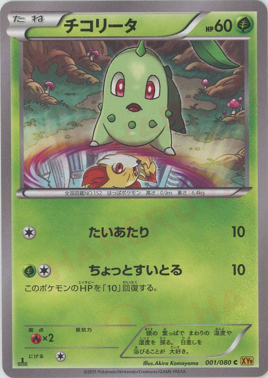 チコリータ(C){草}〈001/080〉[XY9] ｜ポケカ販売‧買取｜ 晴れる屋2