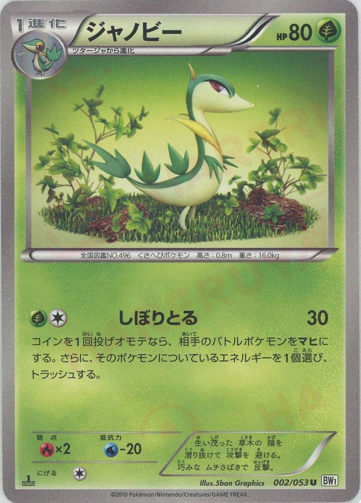 ジャノビー(C){草}〈002/053〉[BW1-w] ｜ポケカ販売‧買取｜ 晴れる屋2
