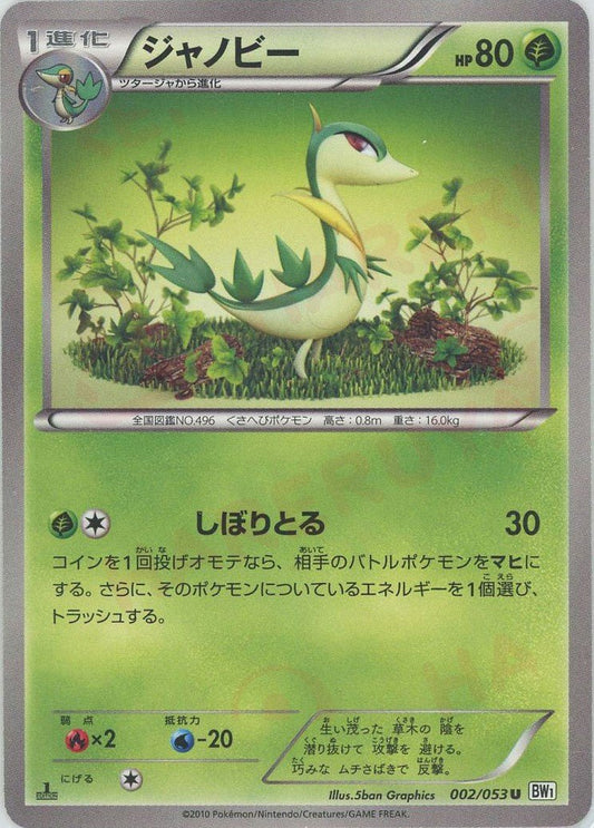 ジャノビー(C){草}〈002/053〉[BW1-w] ｜ポケカ販売‧買取｜ 晴れる屋2