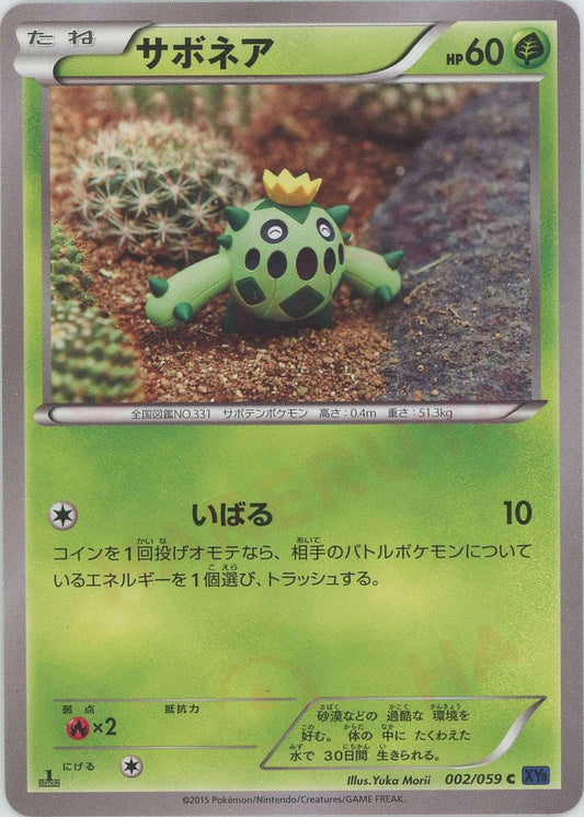 サボネア(C){草}〈002/059〉[XY8-b] ｜ポケカ販売‧買取｜ 晴れる屋2