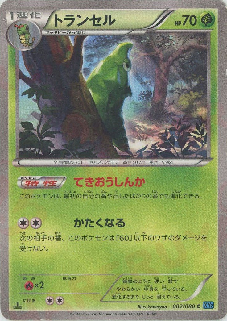 拡張パック「ワイルドブレイズ」 ｜ポケカ販売‧買取｜最短即日発送