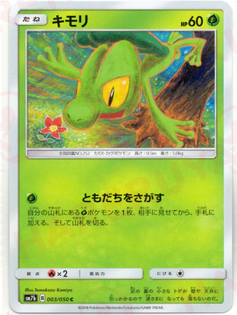 キモリ(C){草}〈003/050〉[SM7b] ｜ポケカ販売‧買取｜ 晴れる屋2