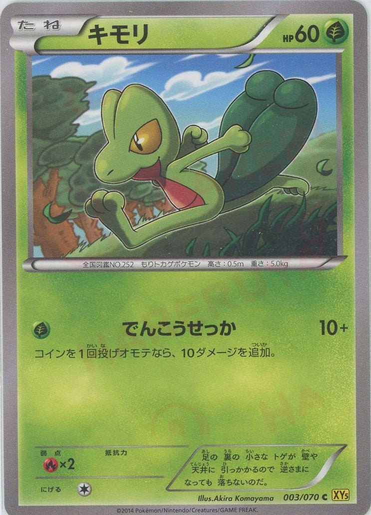 キモリ(C){草}〈003/070〉[XY5-y] ｜ポケカ販売‧買取｜ 晴れる屋2