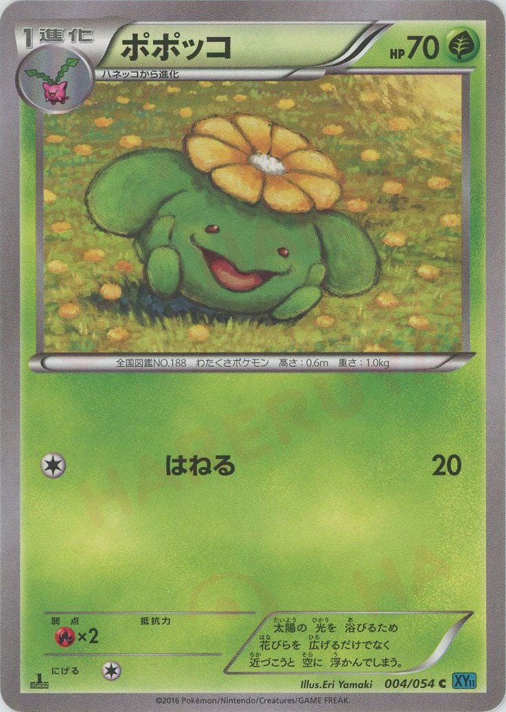 ポポッコ(C){草}〈004/054〉[XY11-l] ｜ポケカ販売‧買取｜ 晴れる屋2