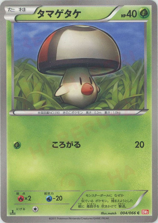 タマゲタケ(C){草}〈004/066〉[BW2] ｜ポケカ販売‧買取｜ 晴れる屋2