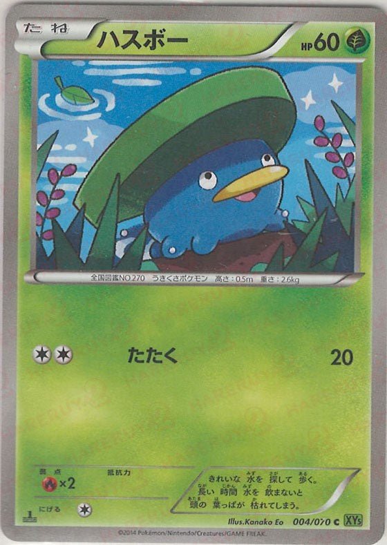 ハスボー(C){草}〈004/070〉[XY5-l] ｜ポケカ販売‧買取｜ 晴れる屋2