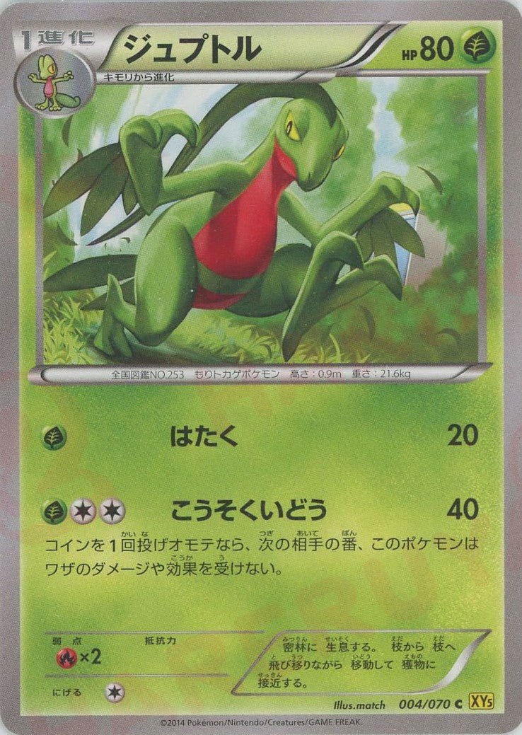 ジュプトル(C){草}〈004/070〉[XY5-y] ｜ポケカ販売‧買取｜ 晴れる屋2