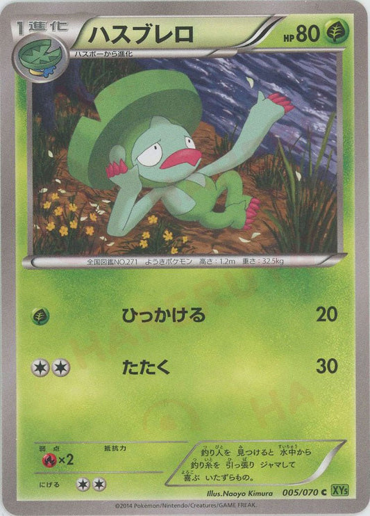 ハスブレロ(C){草}〈005/070〉[XY5-l] ｜ポケカ販売‧買取｜ 晴れる屋2