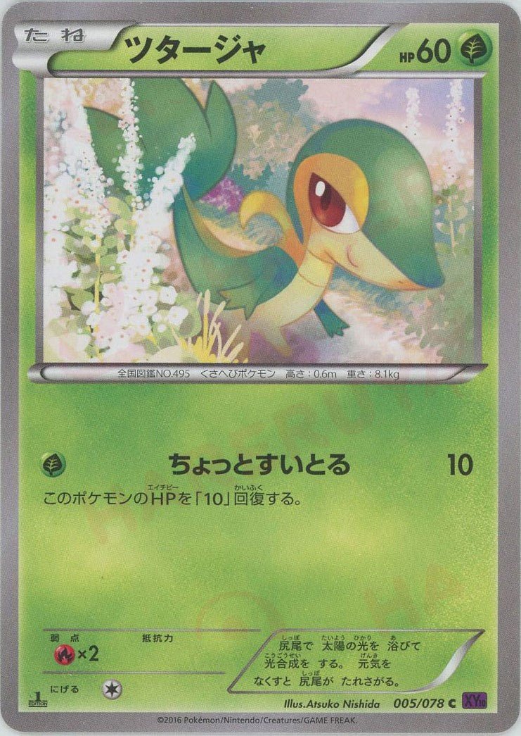 ツタージャ(C){草}〈005/078〉[XY10] ｜ポケカ販売‧買取｜ 晴れる屋2