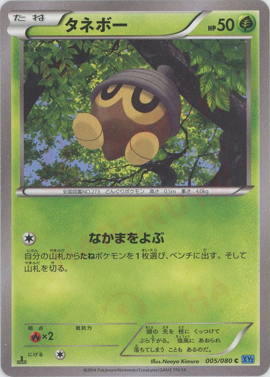タネボー(C){草}〈005/080〉[XY2] ｜ポケカ販売‧買取｜ 晴れる屋2