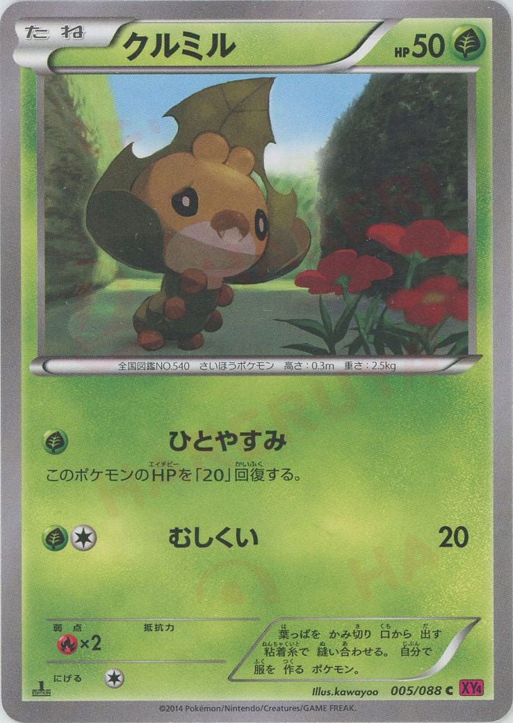 クルミル(C){草}〈005/088〉[XY4] ｜ポケカ販売‧買取｜ 晴れる屋2