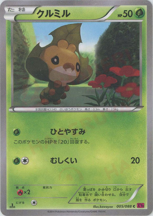 クルミル(C){草}〈005/088〉[XY4] ｜ポケカ販売‧買取｜ 晴れる屋2