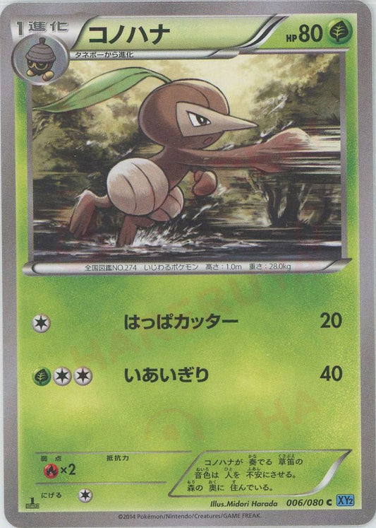 コノハナ(C){草}〈006/080〉[XY2] ｜ポケカ販売‧買取｜ 晴れる屋2