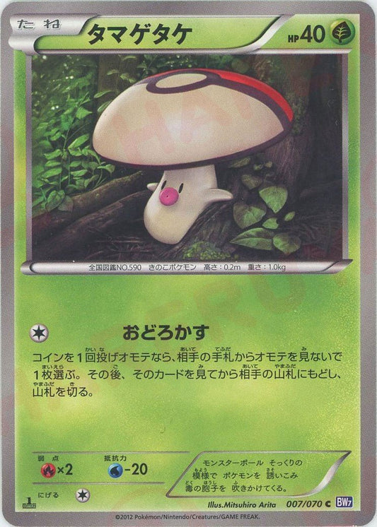 タマゲタケ(C){草}〈007/070〉[BW7] ｜ポケカ販売‧買取｜ 晴れる屋2