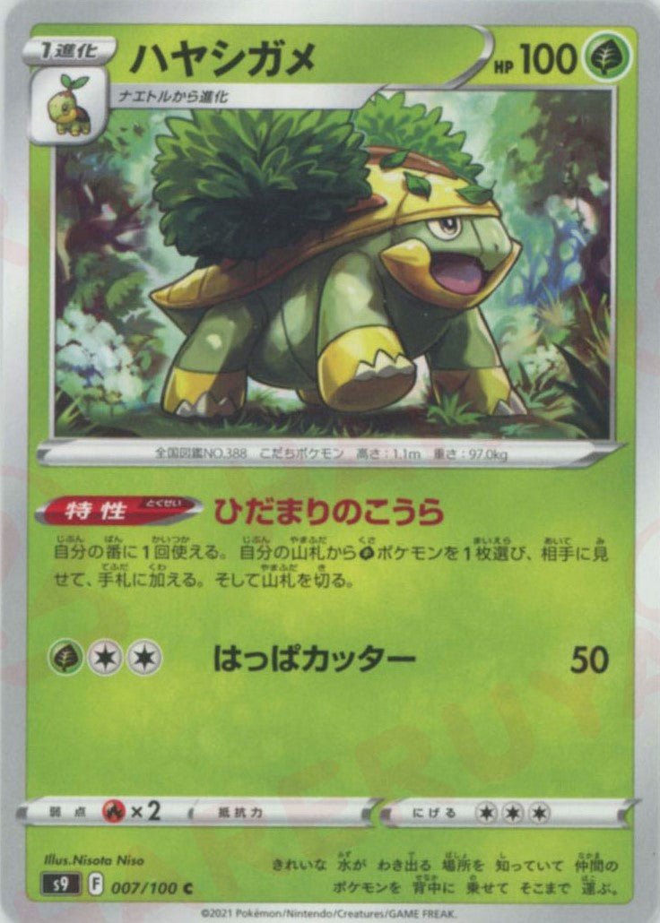ハヤシガメ(C){草}〈007/100〉[S9] ｜ポケカ販売‧買取｜ 晴れる屋2