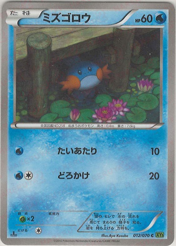 ミズゴロウ(C){水}〈012/070〉[XY5-l] ｜ポケカ販売‧買取｜ 晴れる屋2