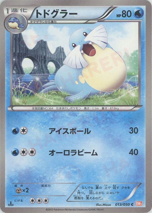 トドグラー(C){水}〈013/050〉[BW5-o] ｜ポケカ販売‧買取｜ 晴れる屋2