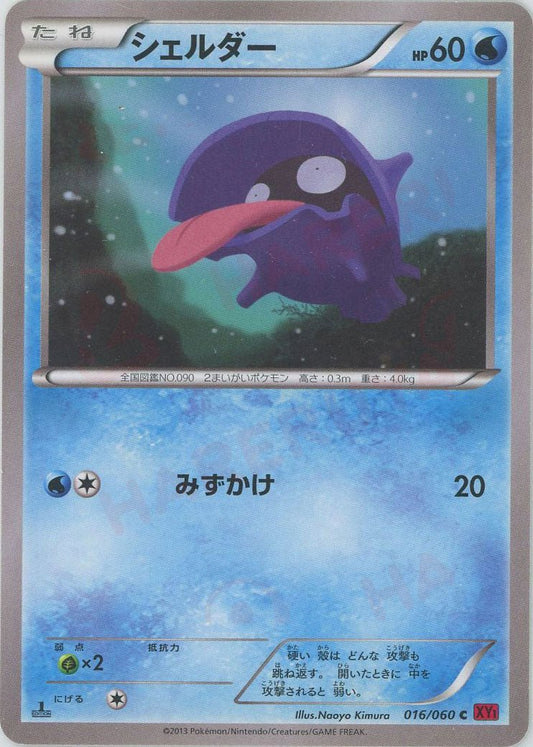 シェルダー(C){水}〈016/060〉[XY1-r] ｜ポケカ販売‧買取｜ 晴れる屋2