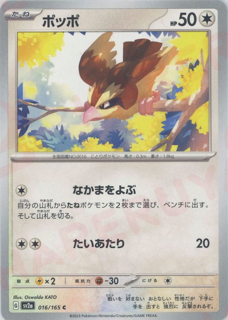 ポッポ(C){無}〈016/165〉[SV2a] ｜ポケカ販売‧買取｜ 晴れる屋2