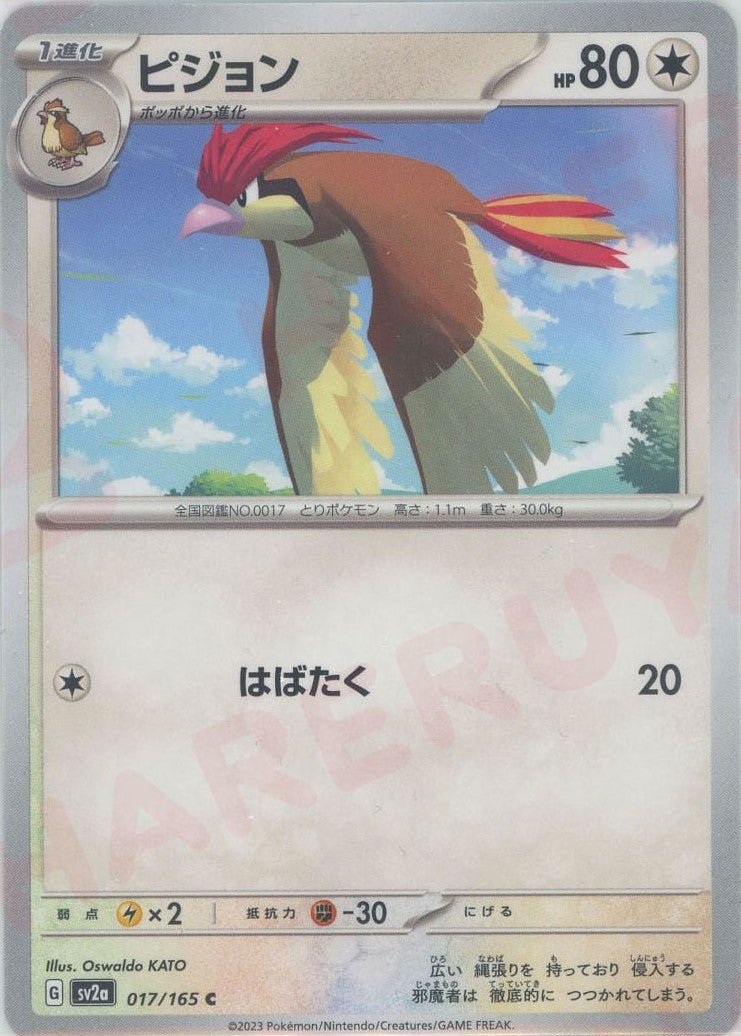 ピジョン(C){無}〈017/165〉[SV2a] ｜ポケカ販売‧買取｜ 晴れる屋2