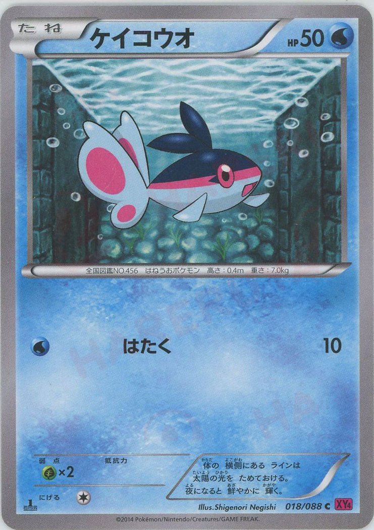 ケイコウオ(C){水}〈018/088〉[XY4] ｜ポケカ販売‧買取｜ 晴れる屋2