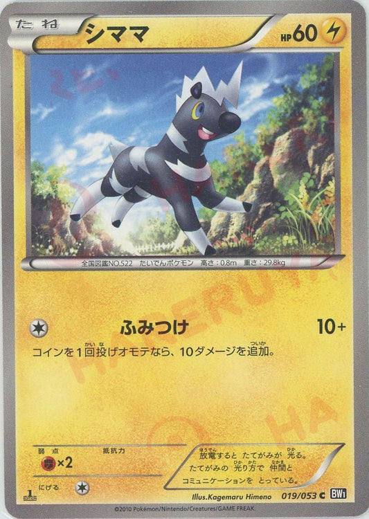 シママ(C){雷}〈019/053〉[BW1-b] ｜ポケカ販売‧買取｜ 晴れる屋2