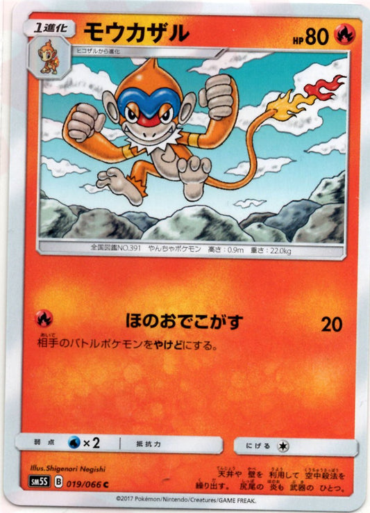 モウカザル(C){炎}〈019/066〉[SM5S] ｜ポケカ販売‧買取｜ 晴れる屋2