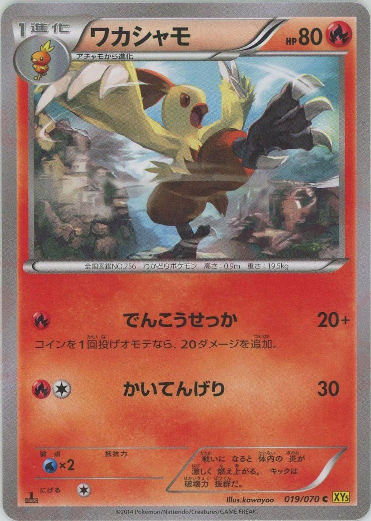 ワカシャモ(C){炎}〈019/070〉[XY5-y] ｜ポケカ販売‧買取｜ 晴れる屋2