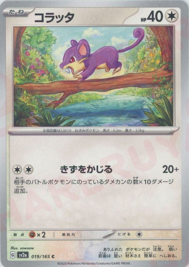 コラッタ(C){無}〈019/165〉[SV2a] ｜ポケカ販売‧買取｜ 晴れる屋2