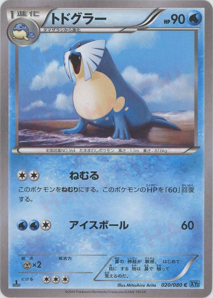 トドグラー(C){水}〈020/080〉[XY2] ｜ポケカ販売‧買取｜ 晴れる屋2