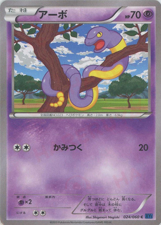 アーボ(C){超}〈024/060〉[XY1-b] ｜ポケカ販売‧買取｜ 晴れる屋2