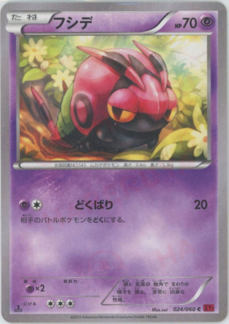 フシデ(C){超}〈024/060〉[XY1-r] ｜ポケカ販売‧買取｜ 晴れる屋2