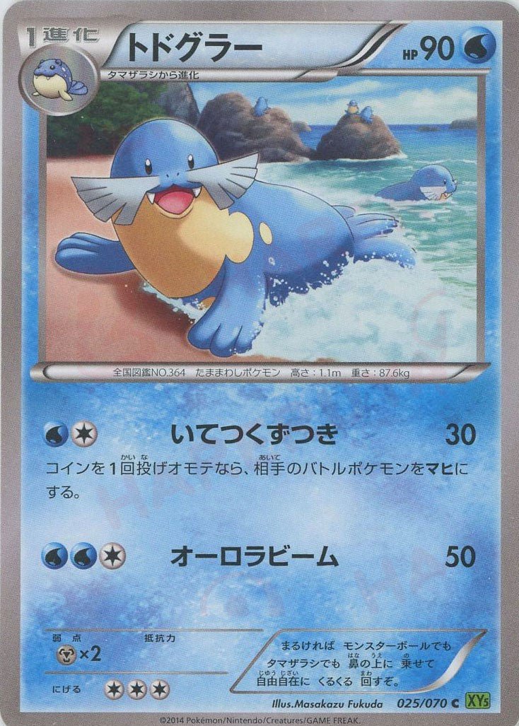 トドグラー(C){水}〈025/070〉[XY5-l] ｜ポケカ販売‧買取｜ 晴れる屋2