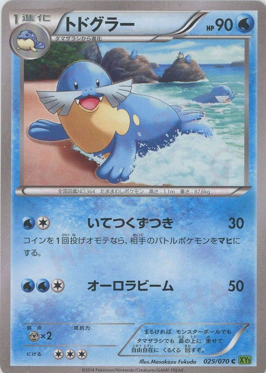 トドグラー(C){水}〈025/070〉[XY5-l] ｜ポケカ販売‧買取｜ 晴れる屋2