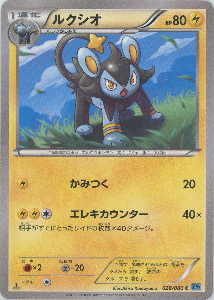 ルクシオ(C){雷}〈028/080〉[XY2] ｜ポケカ販売‧買取｜ 晴れる屋2