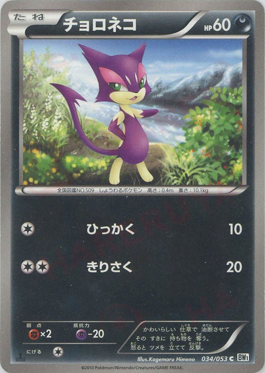 チョロネコ(C){悪}〈034/053〉[BW1-w] ｜ポケカ販売‧買取｜ 晴れる屋2
