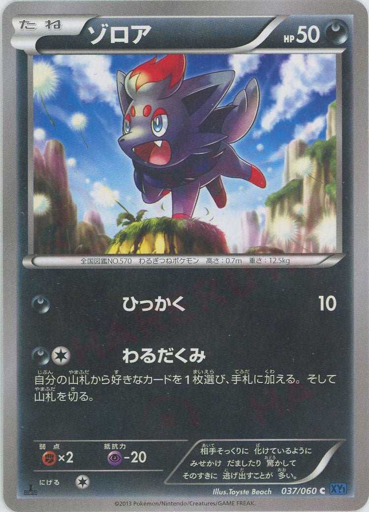 ゾロア(C){悪}〈037/060〉[XY1-b] ｜ポケカ販売‧買取｜ 晴れる屋2