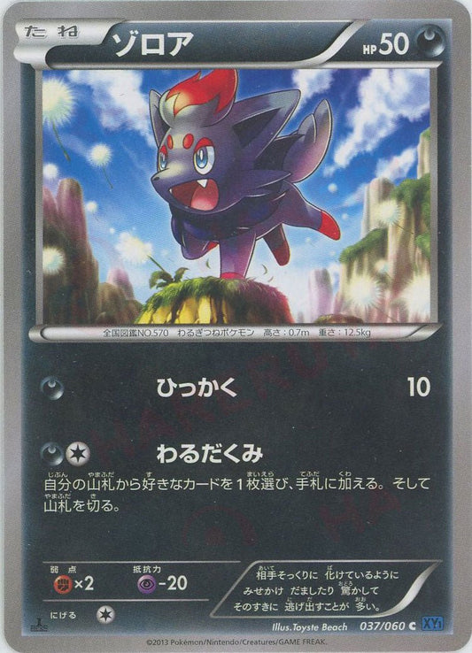ゾロア(C){悪}〈037/060〉[XY1-b] ｜ポケカ販売‧買取｜ 晴れる屋2