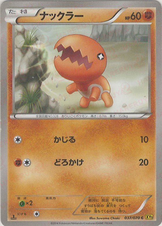 ナックラー(C){闘}〈037/070〉[XY5-y] ｜ポケカ販売‧買取｜ 晴れる屋2