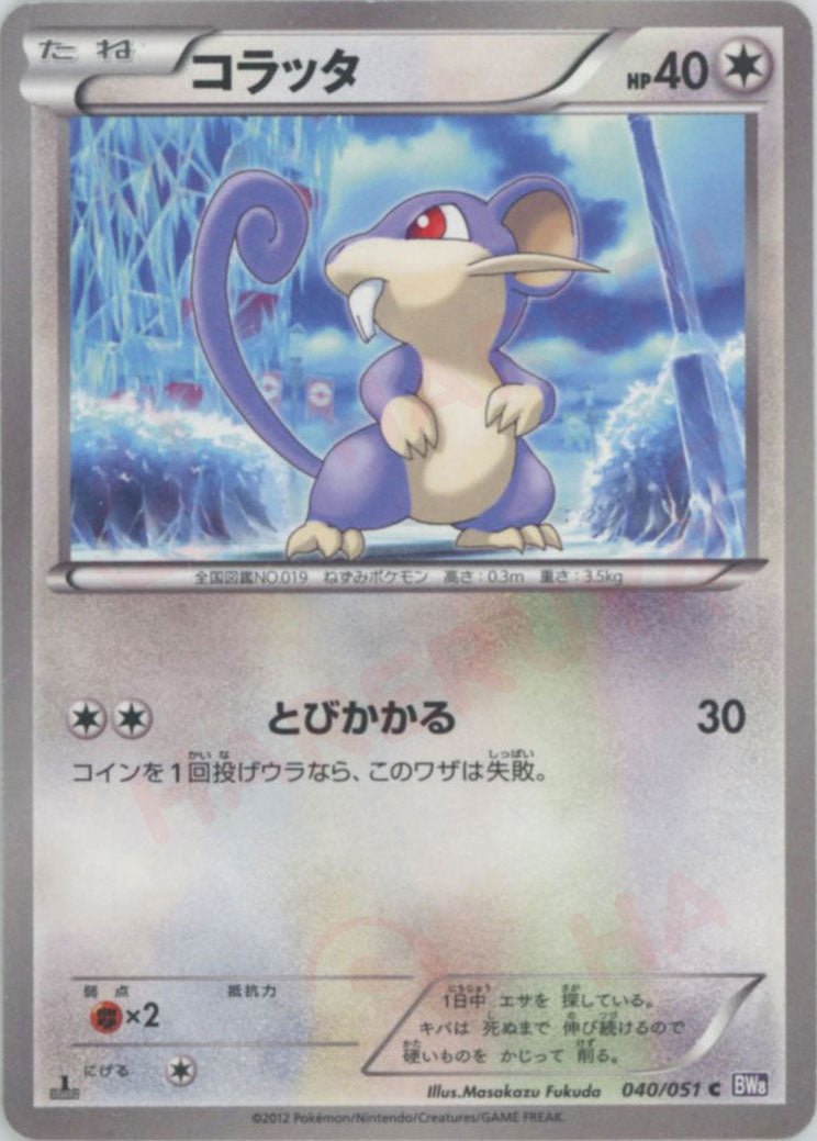 コラッタ(C){無}〈040/051〉[BW8-p] ｜ポケカ販売‧買取｜ 晴れる屋2